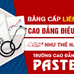 bang-cap-lien-thong-cao-dang-dieu-duong-tphcm-3-7-2021-avt