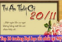 Tổng hợp các bài thơ hay dành tặng thầy cô ngày 20-11 Tổng hợp các bài thơ hay dành tặng thầy cô ngày 20-11