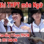 tong-hop-de-thi-thpt-mon-ngu-van-tu-nam-2013-2017